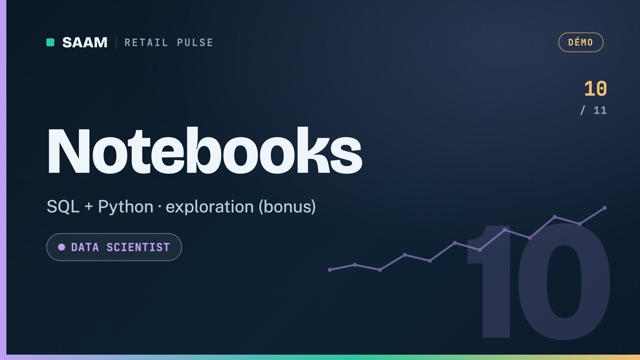 Miniature — Notebooks (bonus)